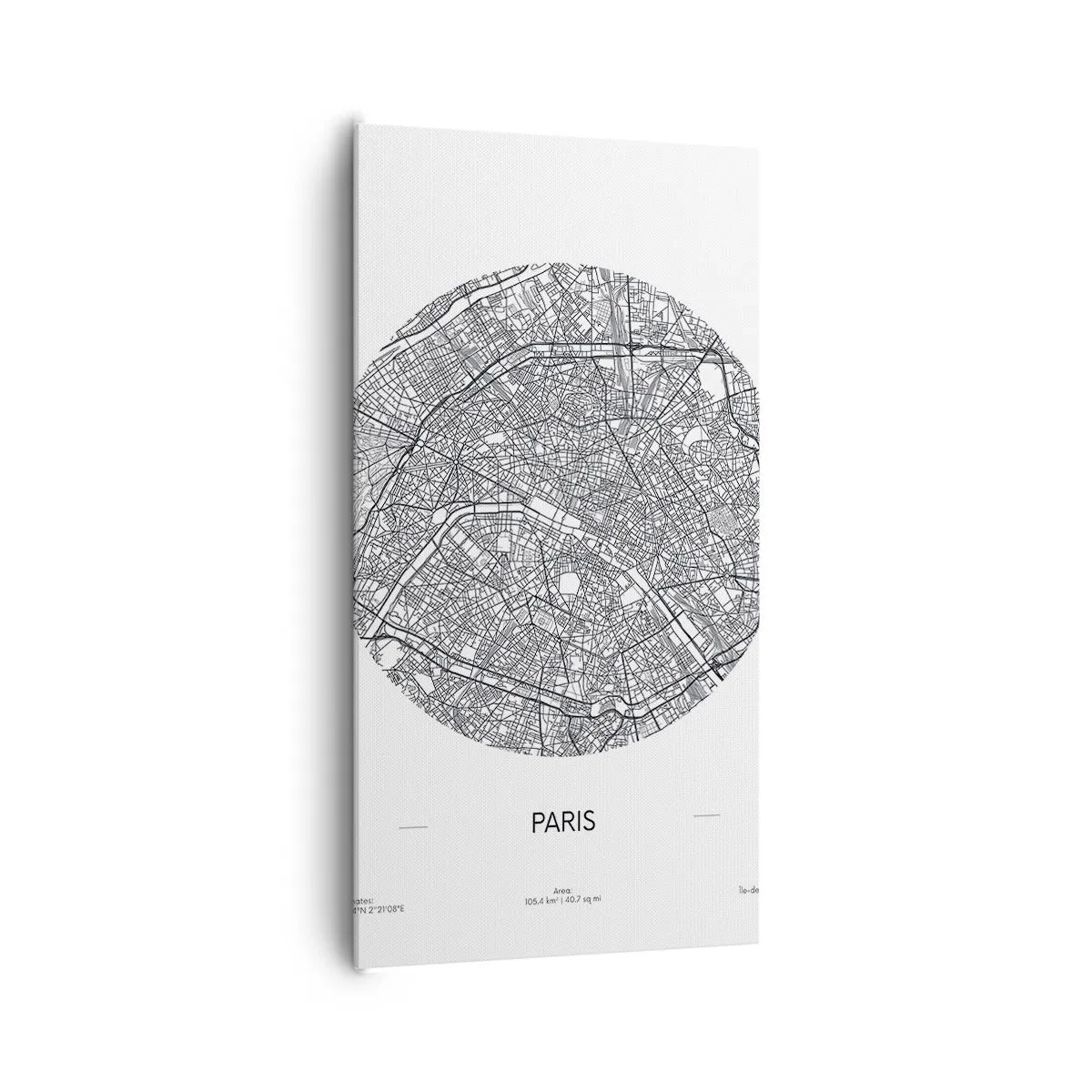 Obraz na plátne - Anatómia Paríža - 65x120 cm