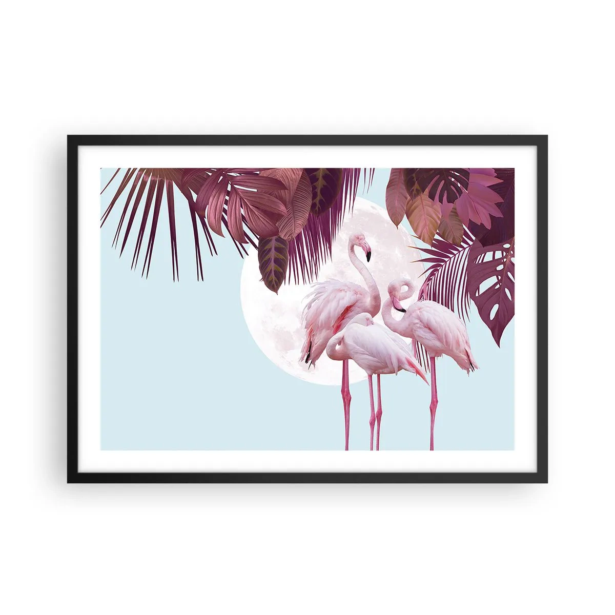 Plagát v čiernom ráme - Tri vtáčie grácie - 70x50 cm