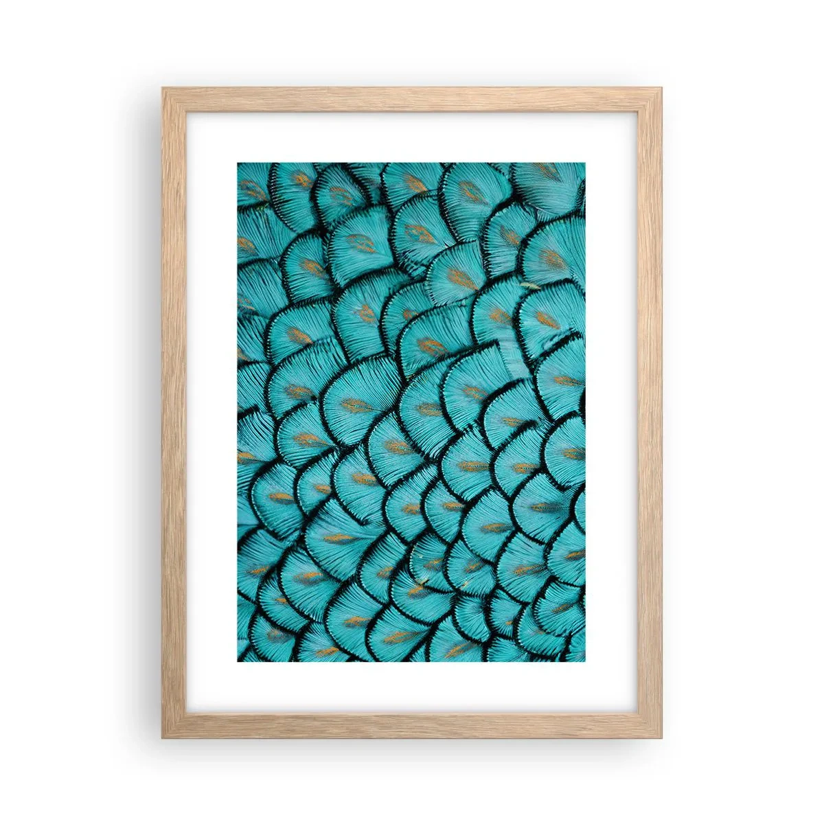 Plagát v ráme zo svetlého duba - Veľká slávnosť peria - 30x40 cm
