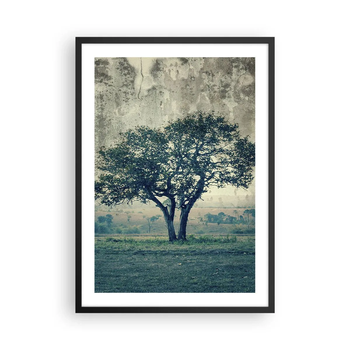 Plagát v čiernom ráme - Osamelý strom v rustikálnej krajine - 50x70cm - Jabloň na modrom poli? - Moderná nástenná dekorácia do obývacej izby a spálne ARTTOR