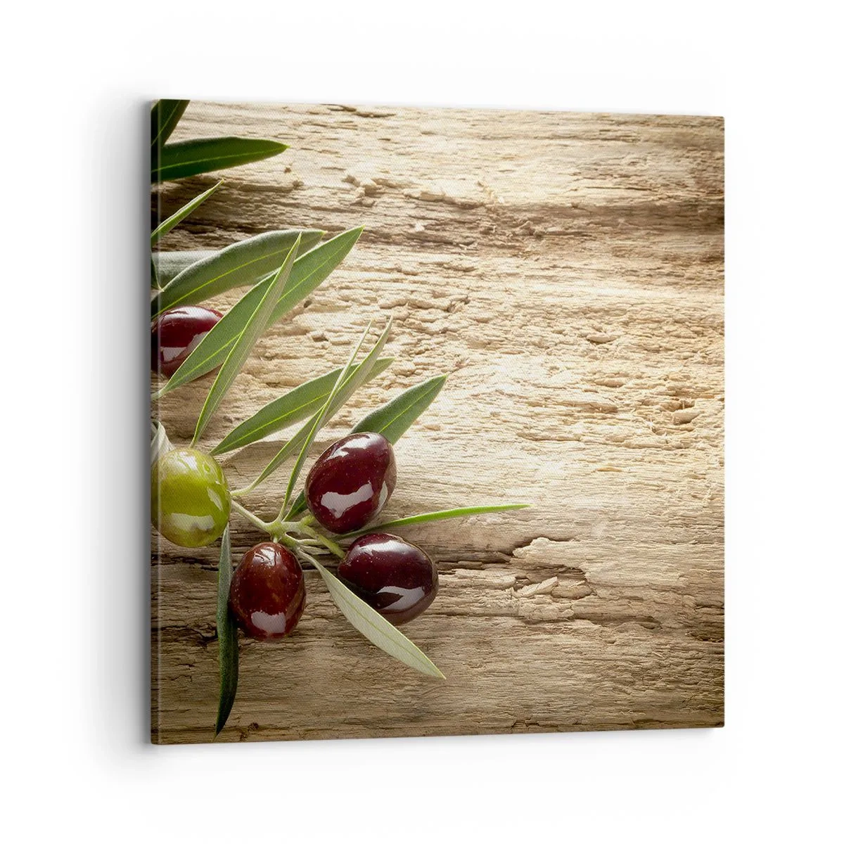 Obraz na plátne - Priamo od prírody - 70x70 cm