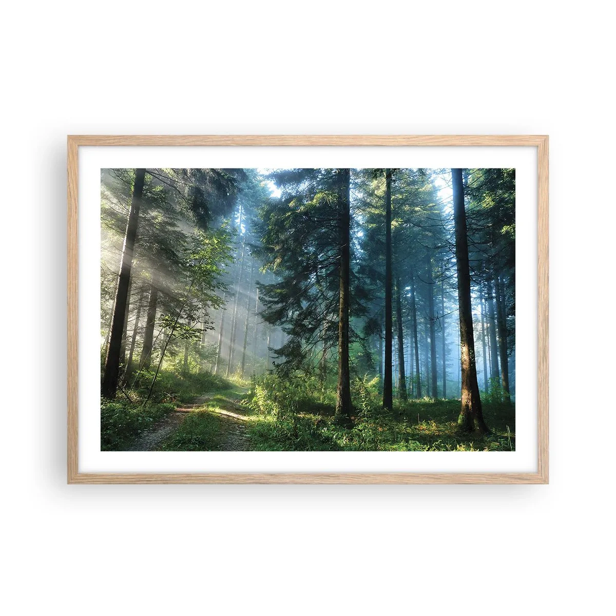 Plagát v ráme zo svetlého duba - Žiariaci za úsvitu - 70x50 cm