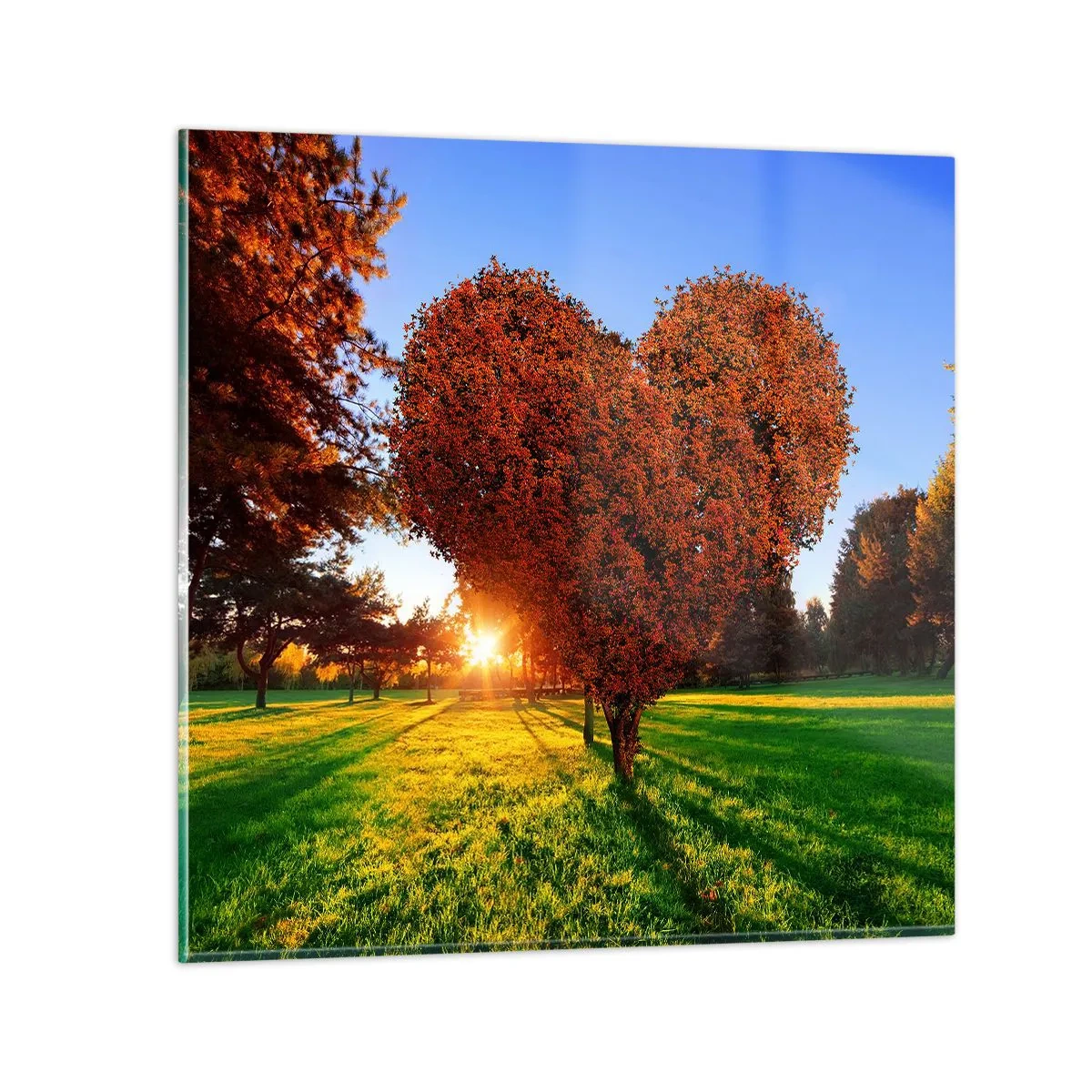 Obraz na skle - Ako nemilovať jeseň - 50x50 cm