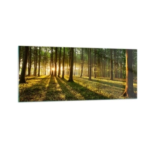 Obraz na skle - Fotografie všetkých jarí - 100x40 cm