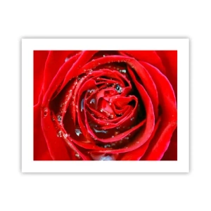 Plagát - V kvapkách rosy - 50x40 cm