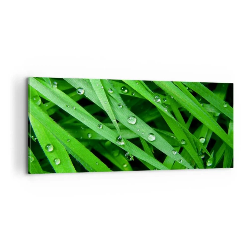 Obraz na plátne - Hrajte na zelenú - 100x40 cm