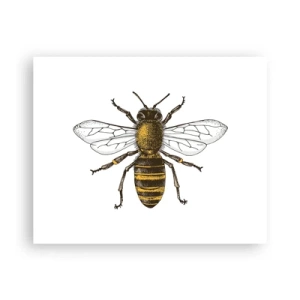 Plagát - Krásna a dobrá - 50x40 cm