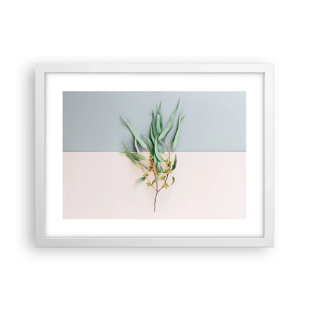 Plagát v bielom ráme - Pastelová jemnosť - 40x30 cm