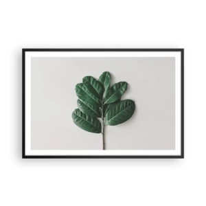 Plagát v čiernom ráme - Kresba samotnej prírody - 91x61 cm