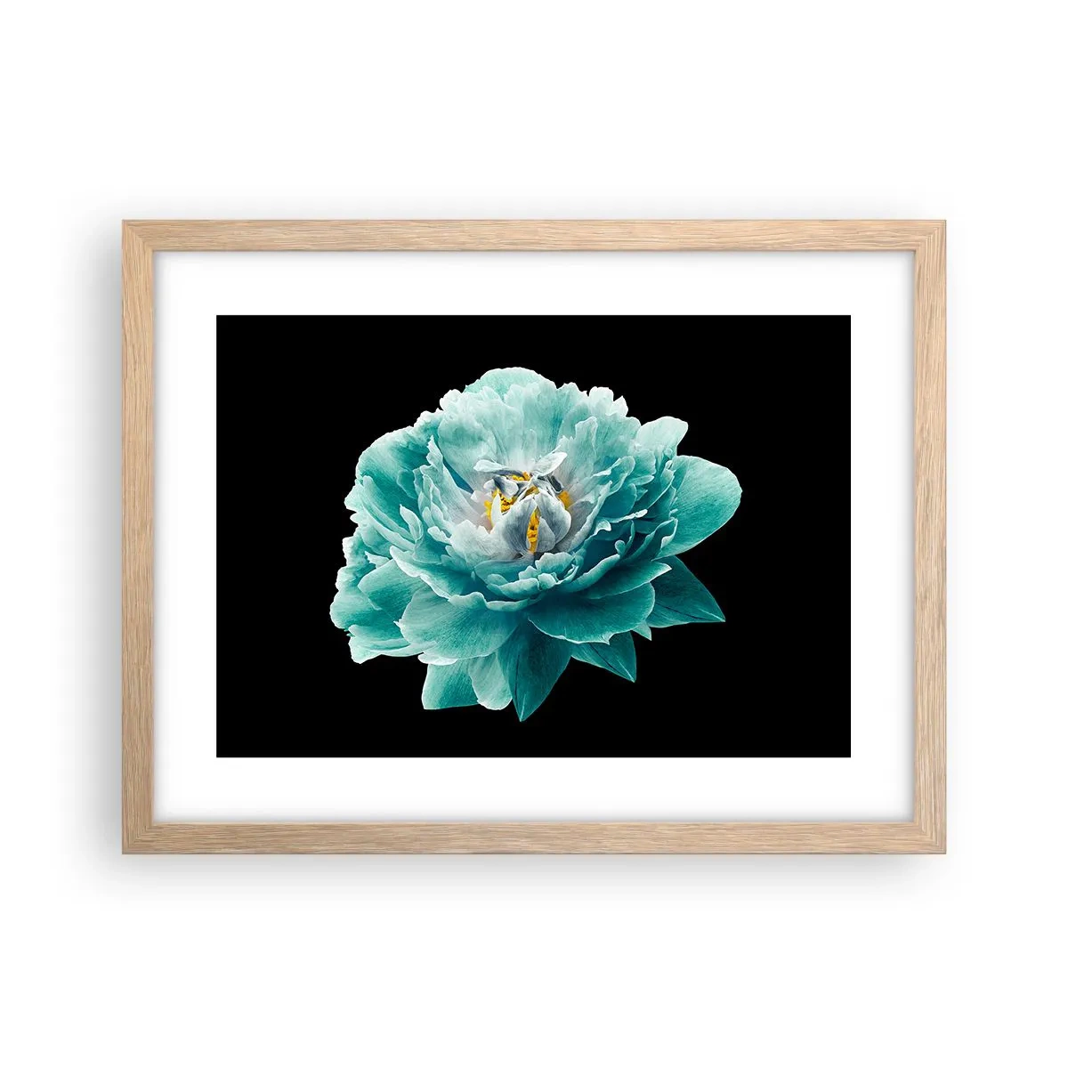 Plagát v ráme zo svetlého duba - Modré a zlaté okvetné lístky - 40x30 cm