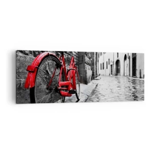 Obraz na plátne - Skutočná krása nestarne - 140x50 cm