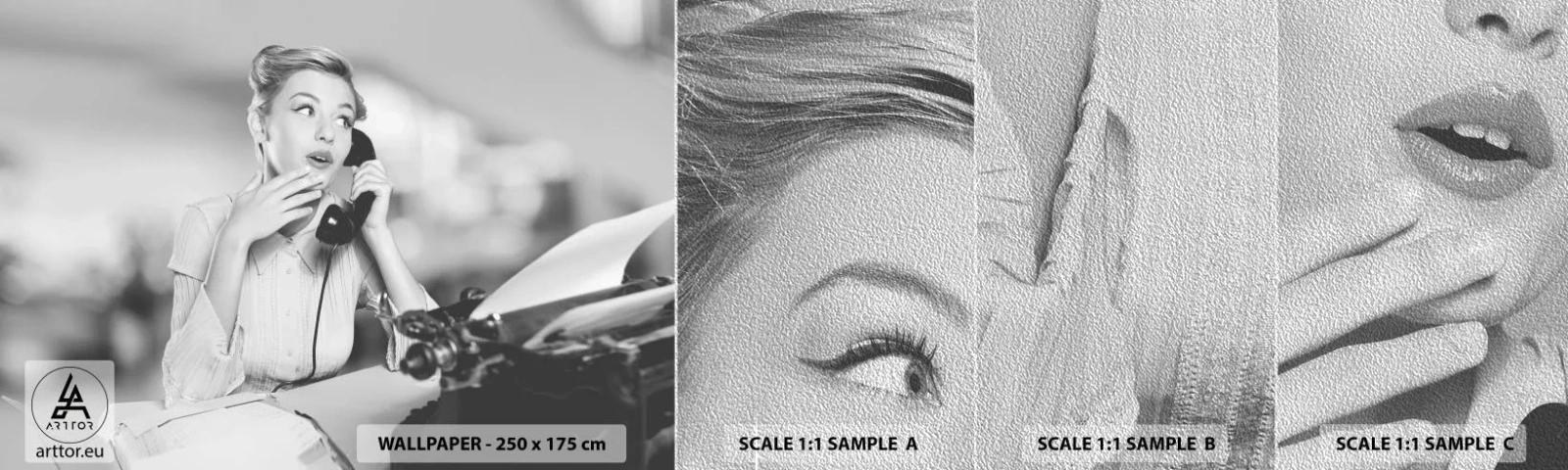 Vzorka fototapety Premium Sand - Halo, tu sú 50. roky. - Vintage, Čierna a biela, Retro - 100x30 cm