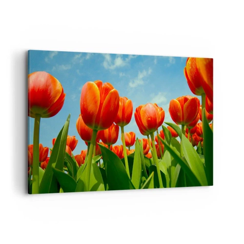 Obraz na plátne - Okrem blankytného neba nič v živote nepotrebujú - 120x80 cm