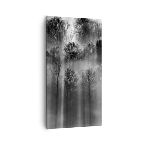 Obraz na plátne - V lúčoch svetla - 55x100 cm