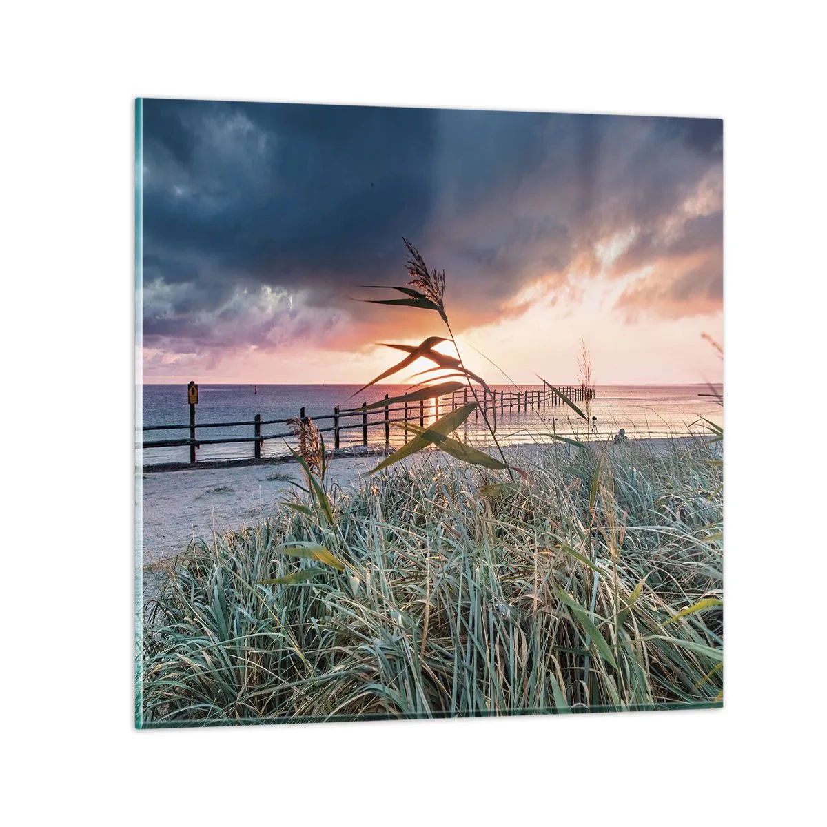 Obraz na skle - Neodviate vetrom - 50x50 cm