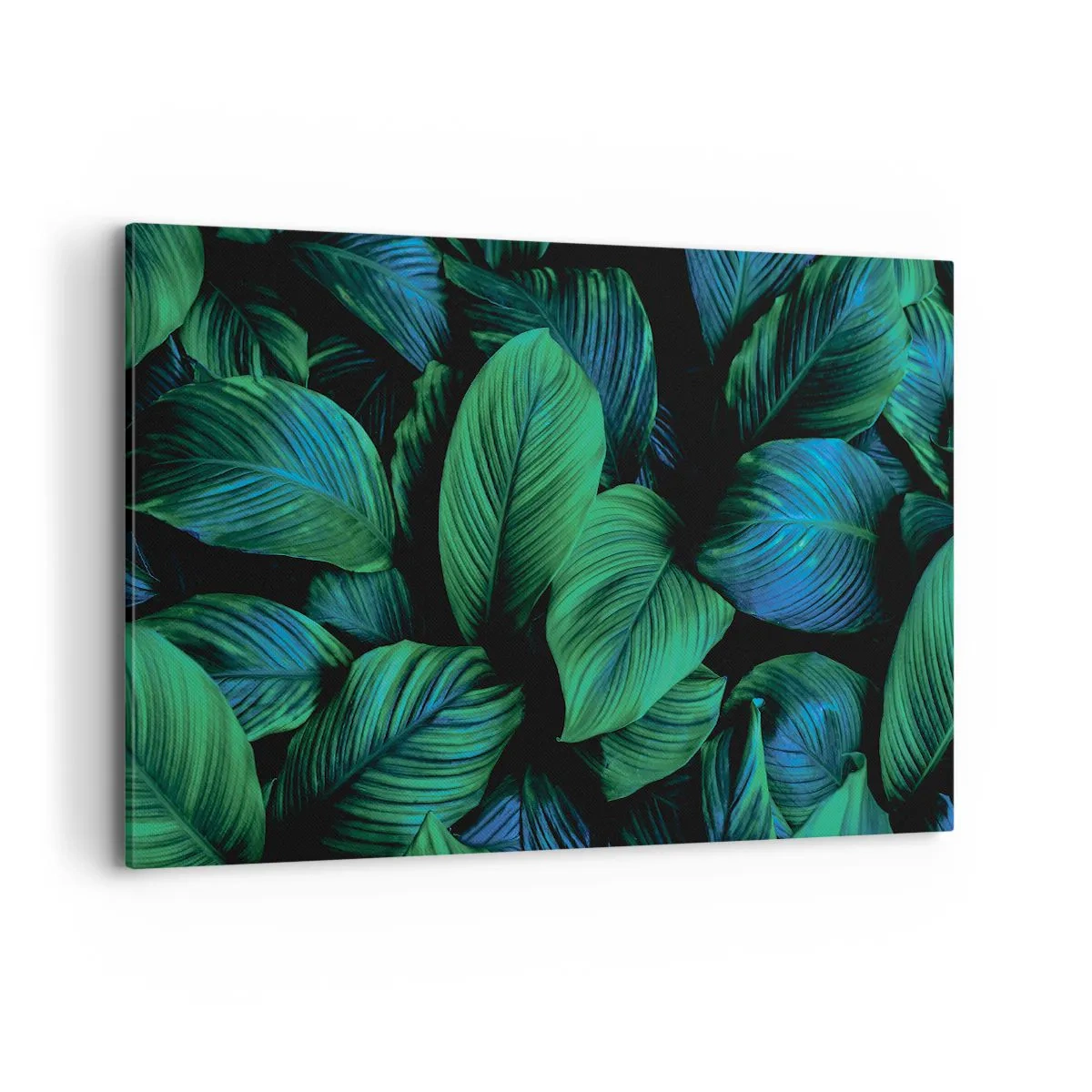 Obraz na plátne - V zelenom dave - 120x80 cm