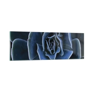 Obraz na skle - Púštny kvet - 90x30 cm