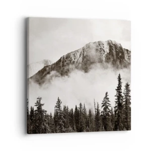 Obraz na plátne - Žulový panovník - 40x40 cm