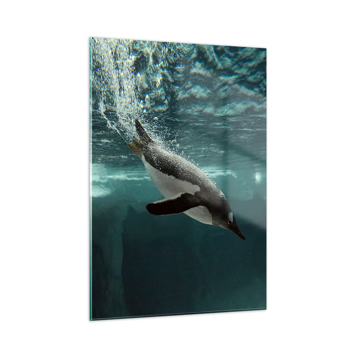 Obraz na skle - Vitajte v mojom svete - 50x70 cm