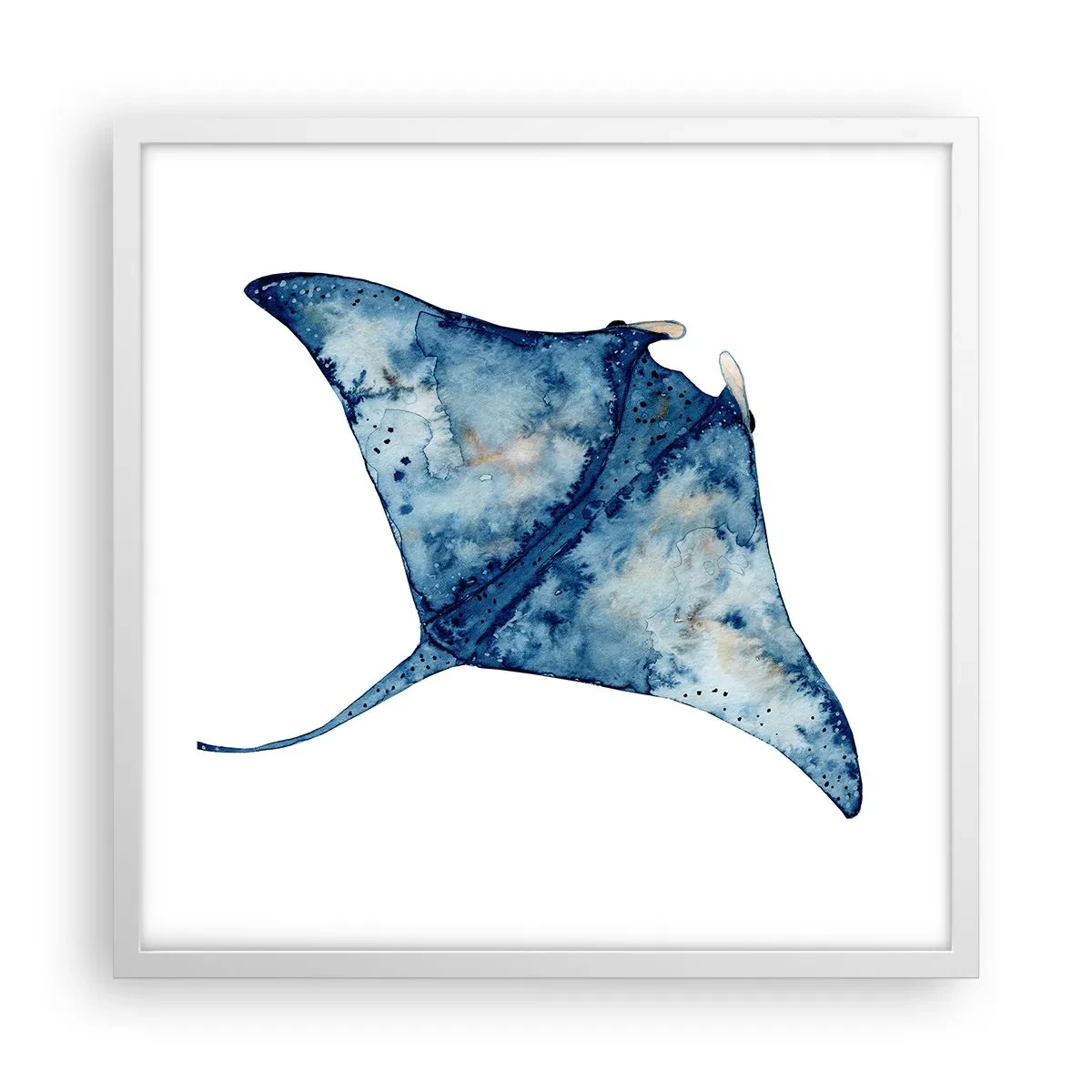 Plagát v bielom ráme - Modrý život - 50x50 cm