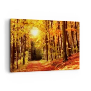 Obraz na plátne - Zlatá jeseň na lesnej ceste - 100x70 cm