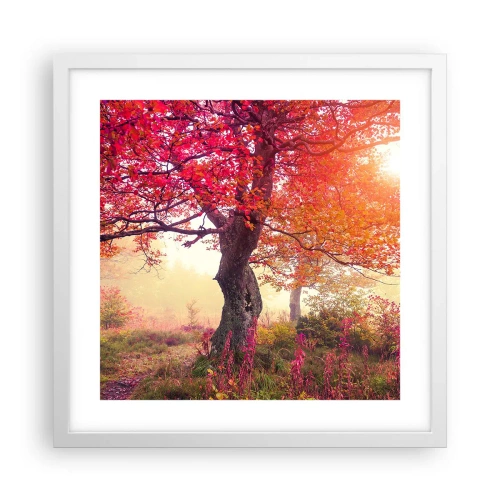 Plagát v bielom ráme - Šialenstvo rozkvetu - 40x40 cm