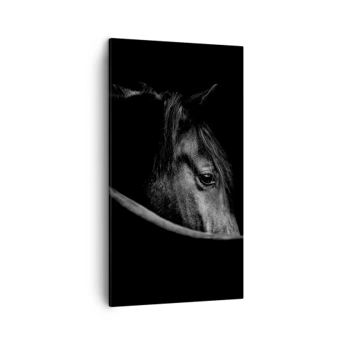 Obraz na plátne - Čierny knieža - 45x80 cm