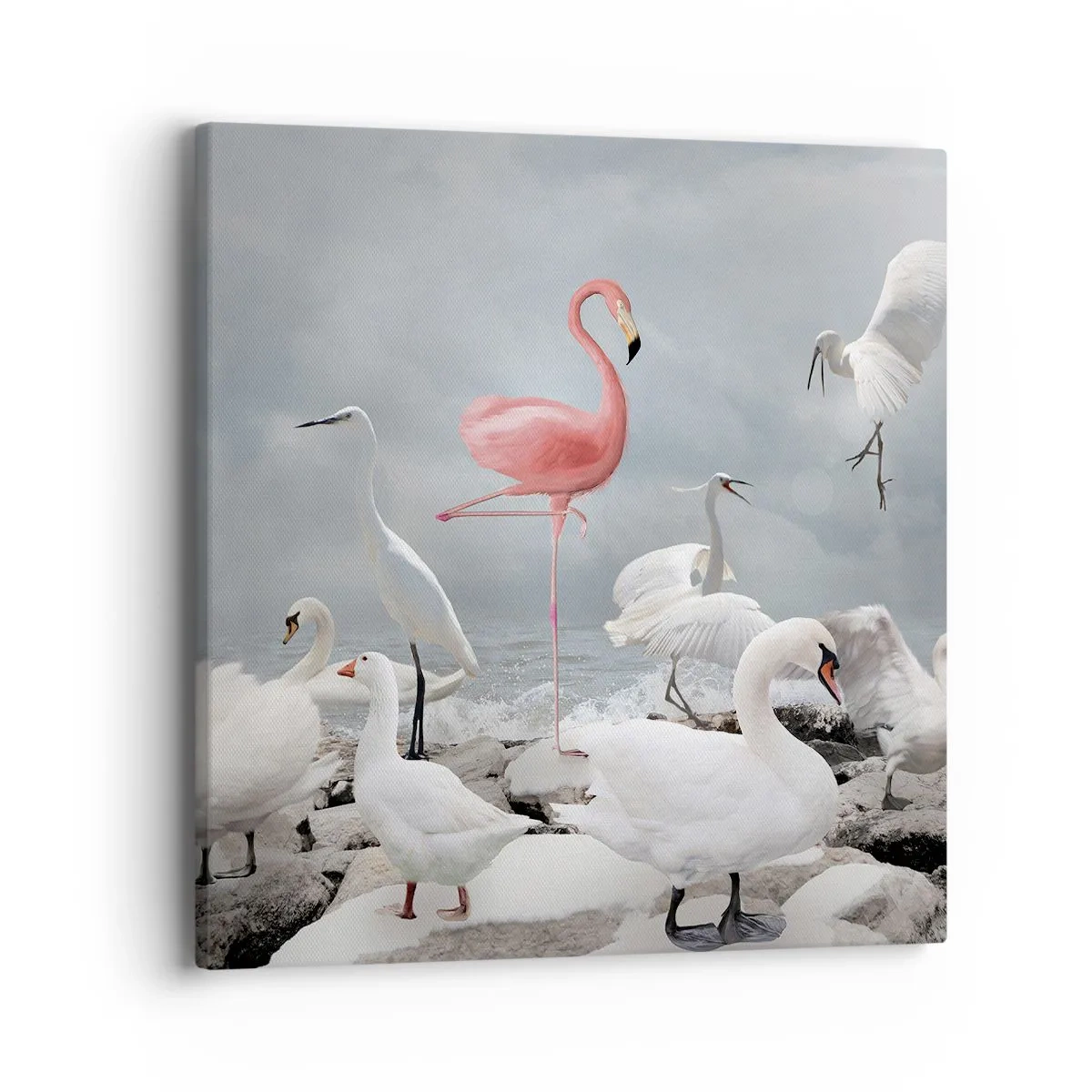 Obraz na plátne - Kde som sa tu vzal? - 40x40 cm