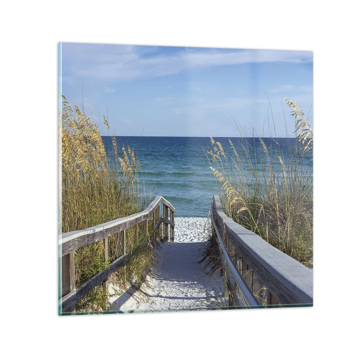 Obraz na skle - Na slnku, vo vetre - 70x70 cm