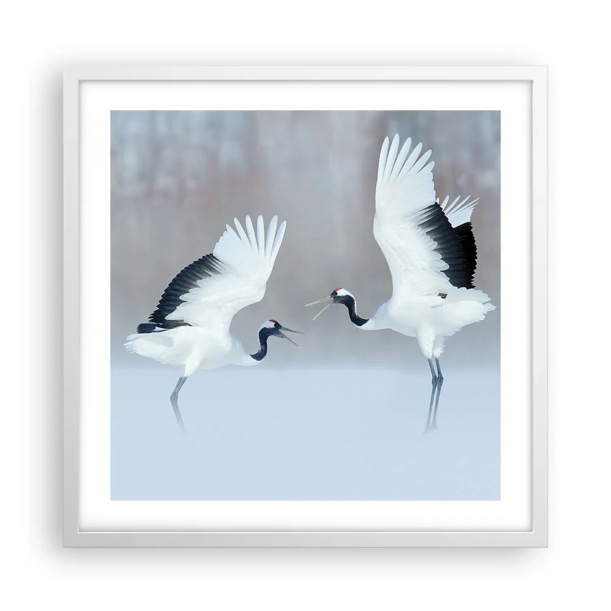 Plagát v bielom ráme - Tanec v hmle - 50x50 cm