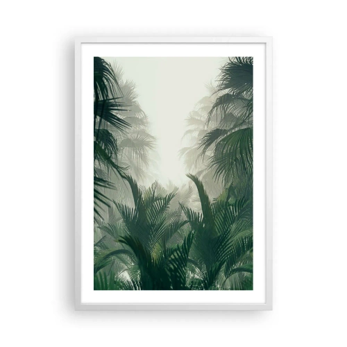 Plagát v bielom ráme - Tropická záhada - 50x70 cm
