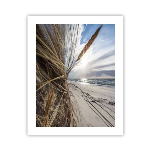 Plagát - Stretnutie živlov - 40x50 cm