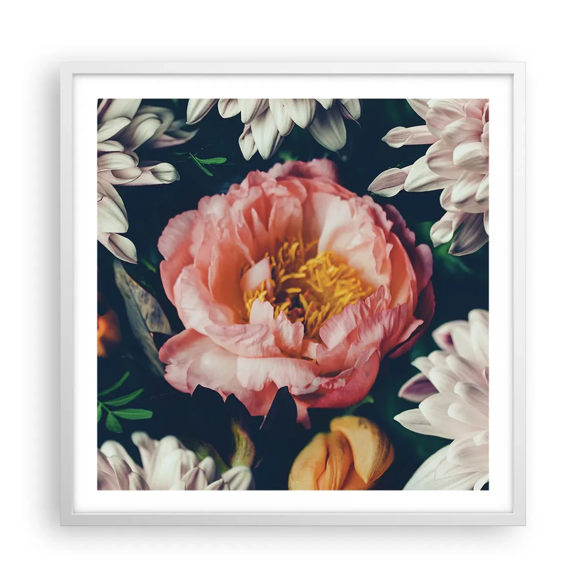 Plagát v bielom ráme - S barokovým prepychom - 60x60 cm
