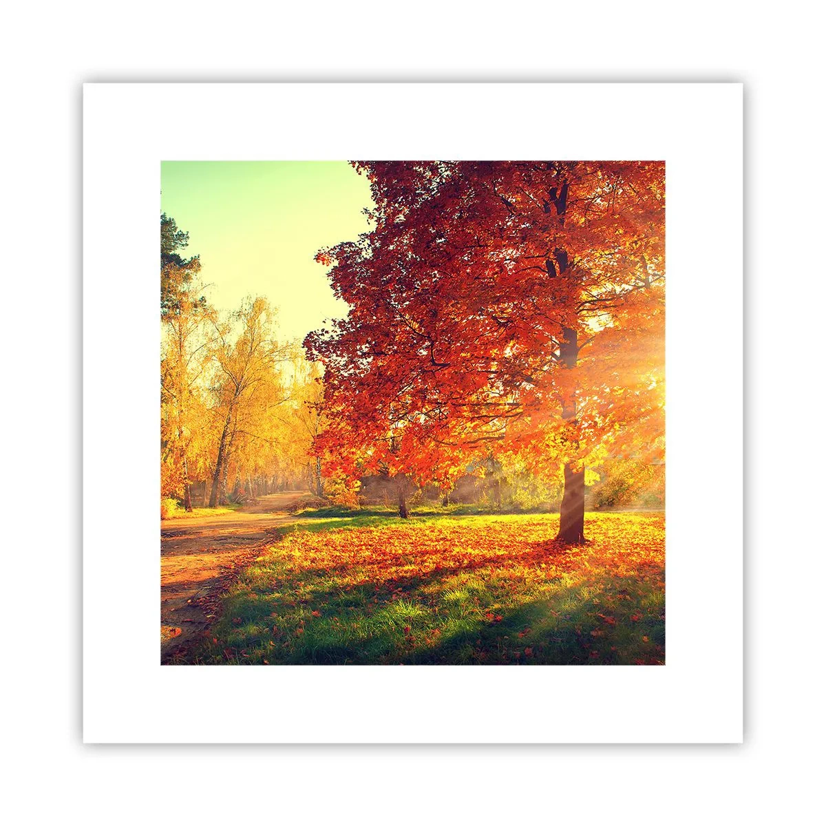 Plagát - Červené je krásne - 30x30 cm