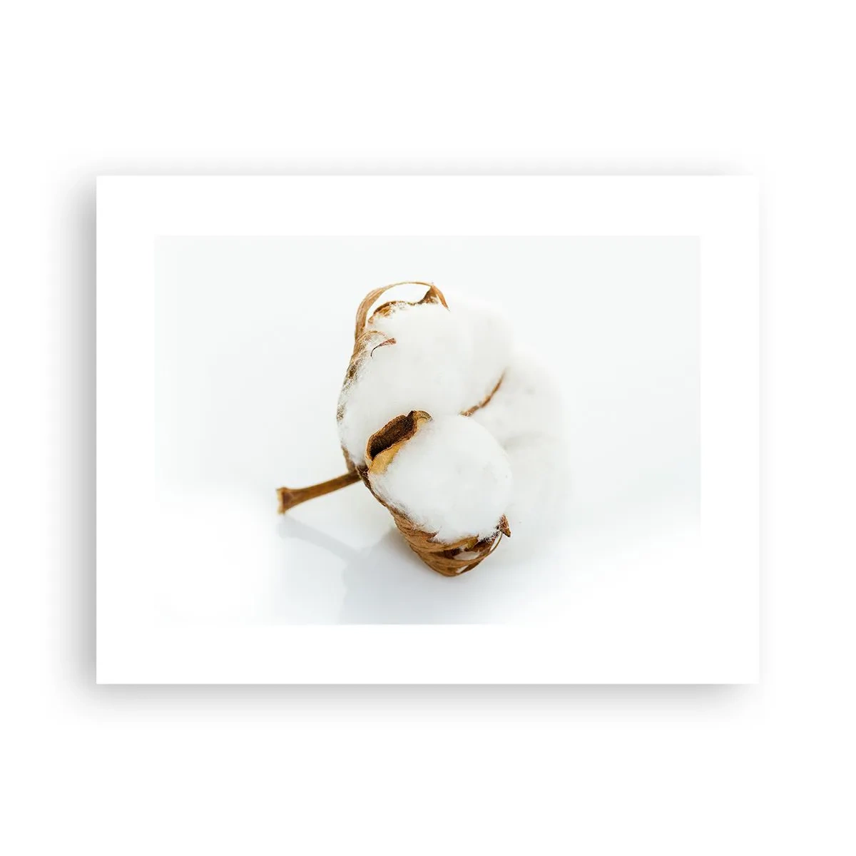 Plagát - Mäkká od prírody - 40x30 cm