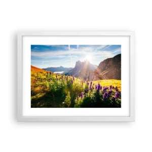 Plagát v bielom ráme - Tajomný život bylín - 40x30 cm