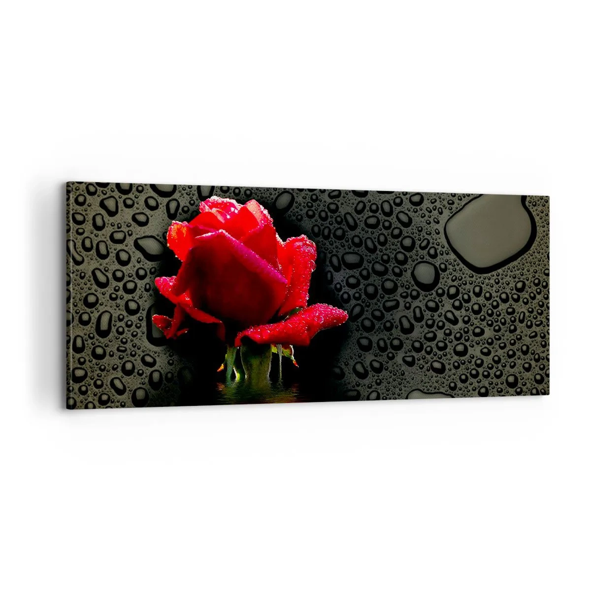 Obraz na plátne - Červené a čierne - 100x40 cm