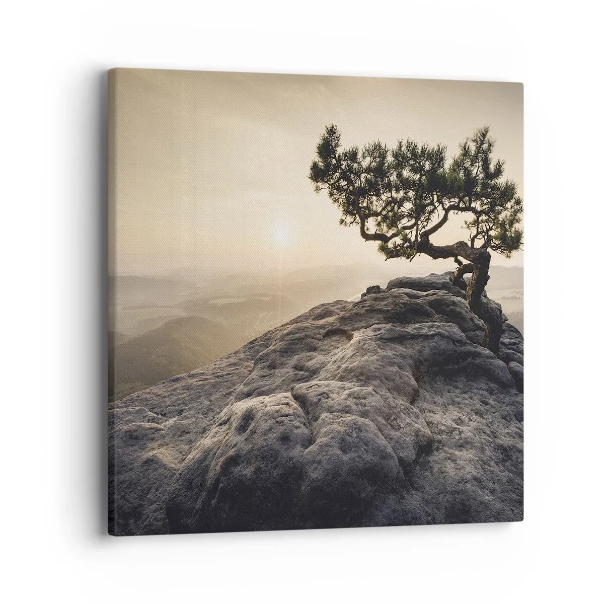 Obraz na plátne - Život vždy víťazí - 40x40 cm