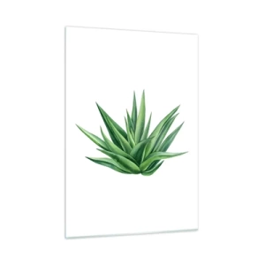 Obraz na skle - Zelená – sila – život - 50x70 cm