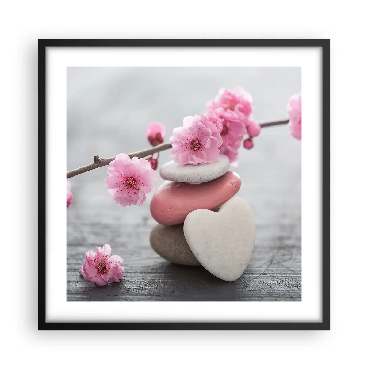 Plagát v čiernom ráme - Blaženosť s višňovým kvetom - 50x50 cm