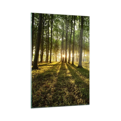 Obraz na skle - Fotografie všetkých jarí - 80x120 cm