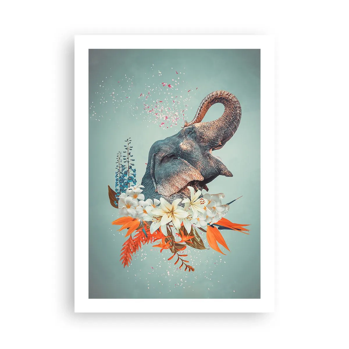 Plagát - Rev radosti - 50x70 cm