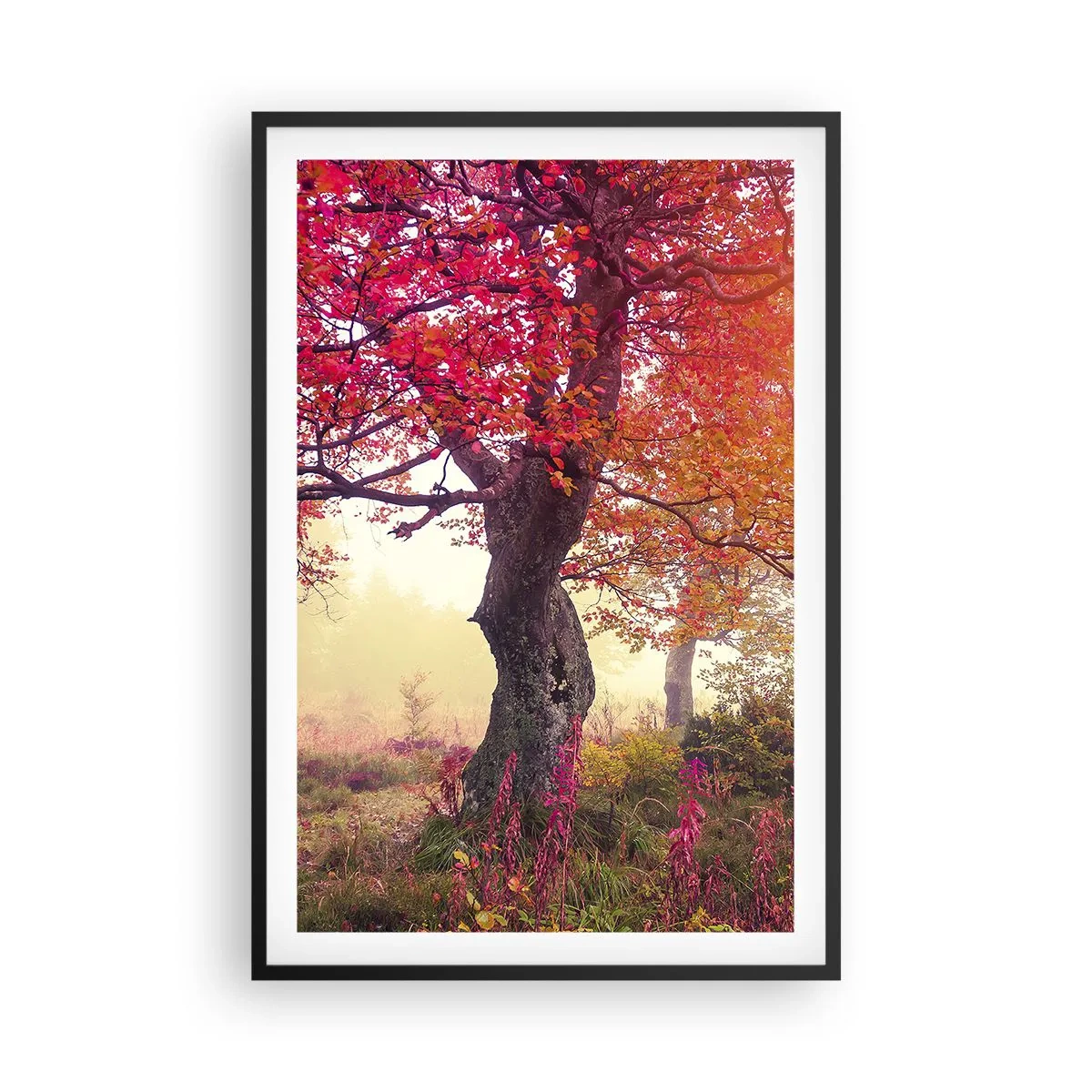 Plagát v čiernom ráme - Šialenstvo rozkvetu - 61x91 cm