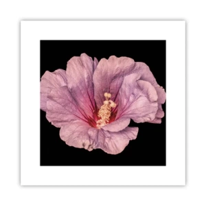 Plagát - Priamo do srdca - 30x30 cm