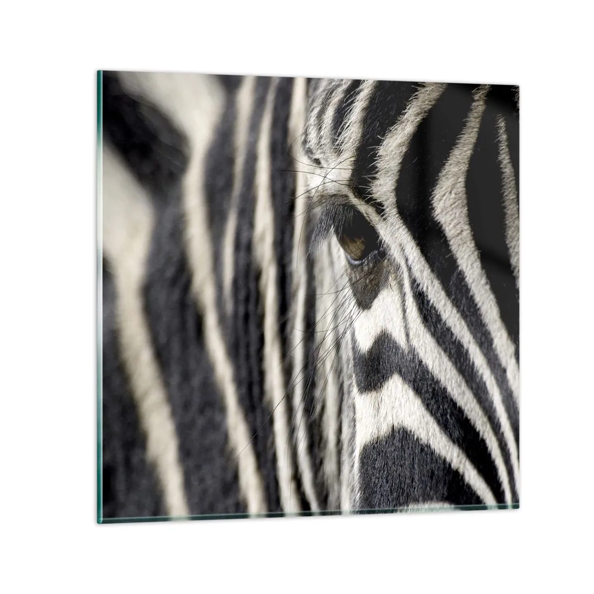 Obraz na skle - Portrét s pruhmi - 60x60 cm