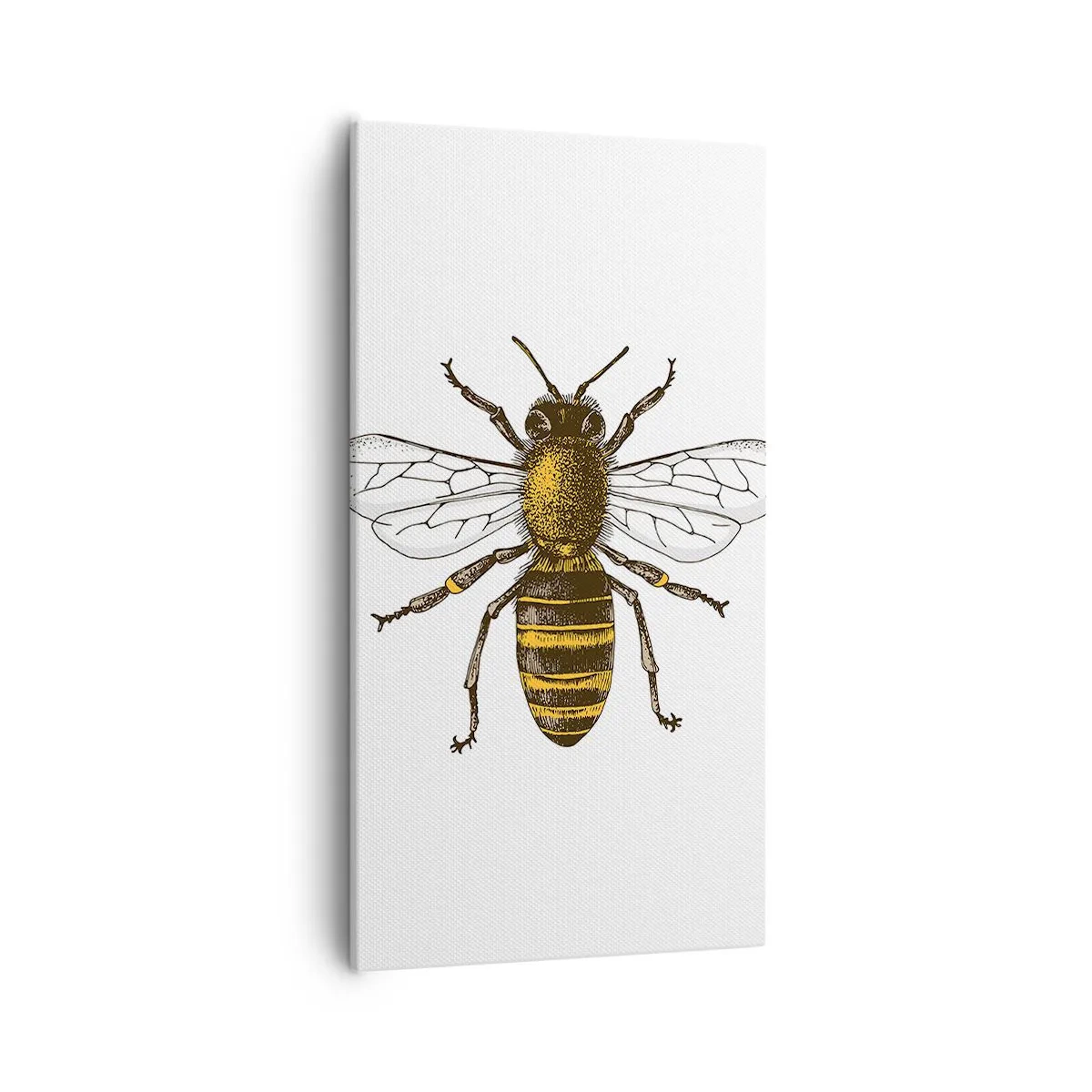 Obraz na plátne - Krásna a dobrá - 55x100 cm