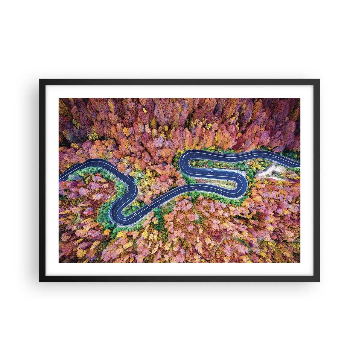 Plagát v čiernom ráme - Kľukatá cesta lesom - 70x50 cm