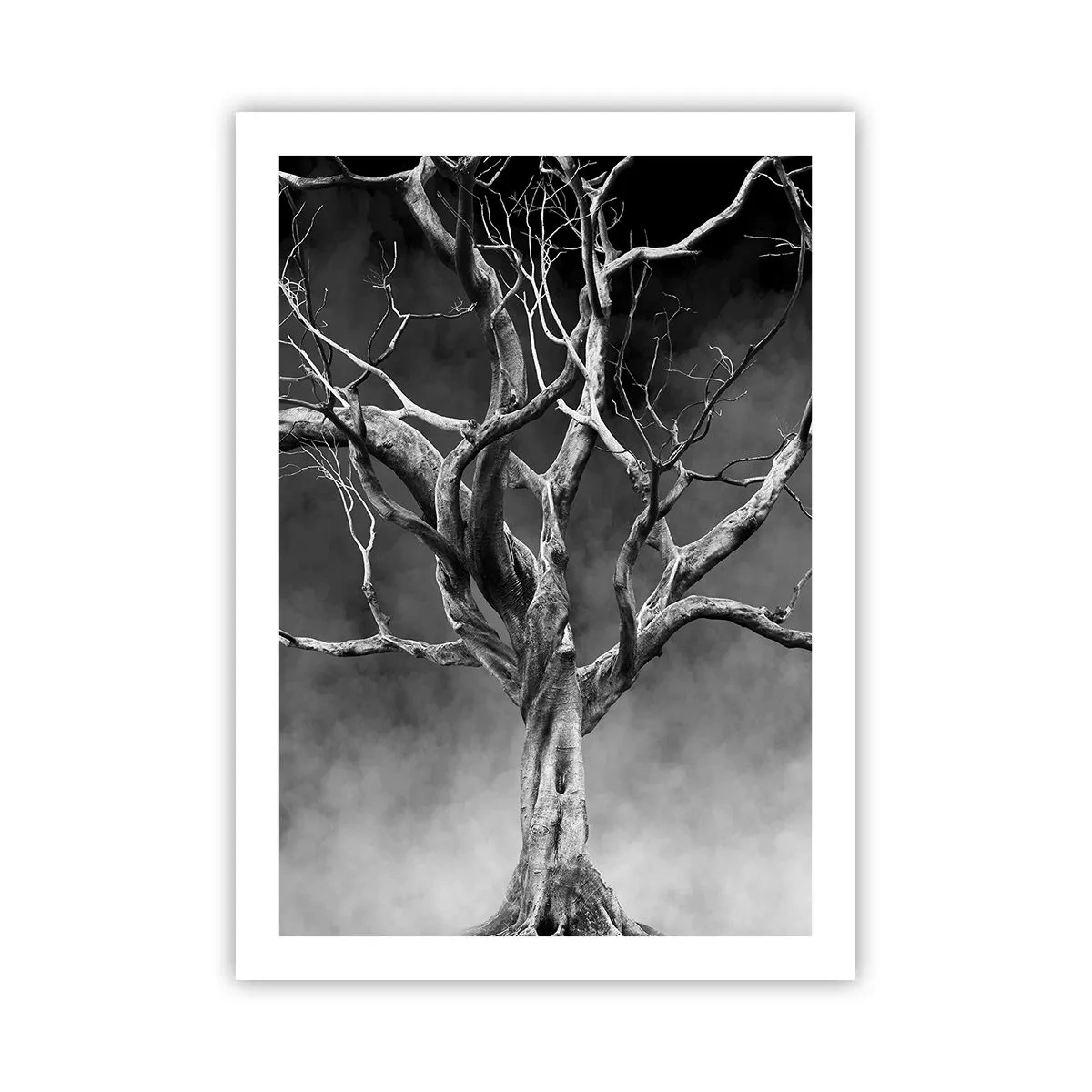 Plagát - Pôvodné a sväté - 50x70 cm