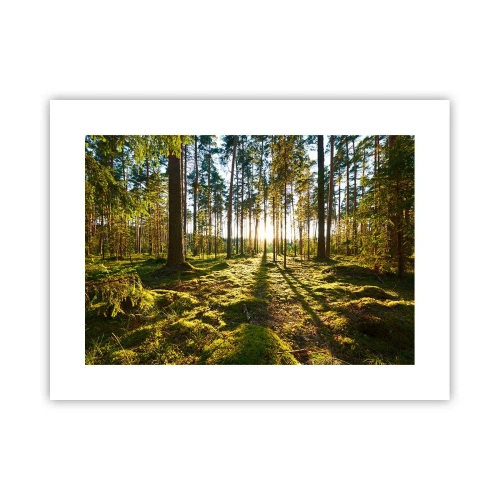 Plagát - …Za siedmimi lesmi - 40x30 cm