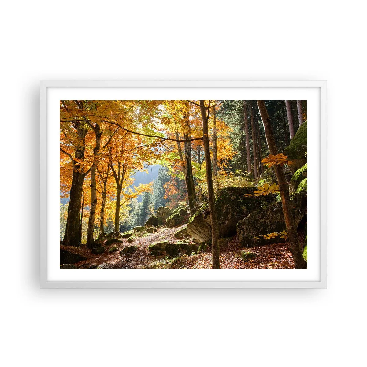 Plagát v bielom ráme - Čas na odpočinok - 70x50 cm